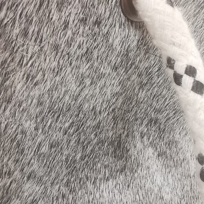 Zarážka do dverí Luxury Cowhide BRAZÍLIA GREY 17x20cm