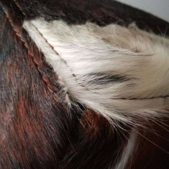 Kožený TABURET MEDIUM Luxury Cowhide 36x46x39cm