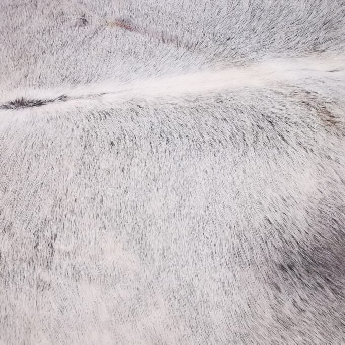 Hovädzia koža Luxury Cowhide BRAZÍLIA GREY 180x160 cm